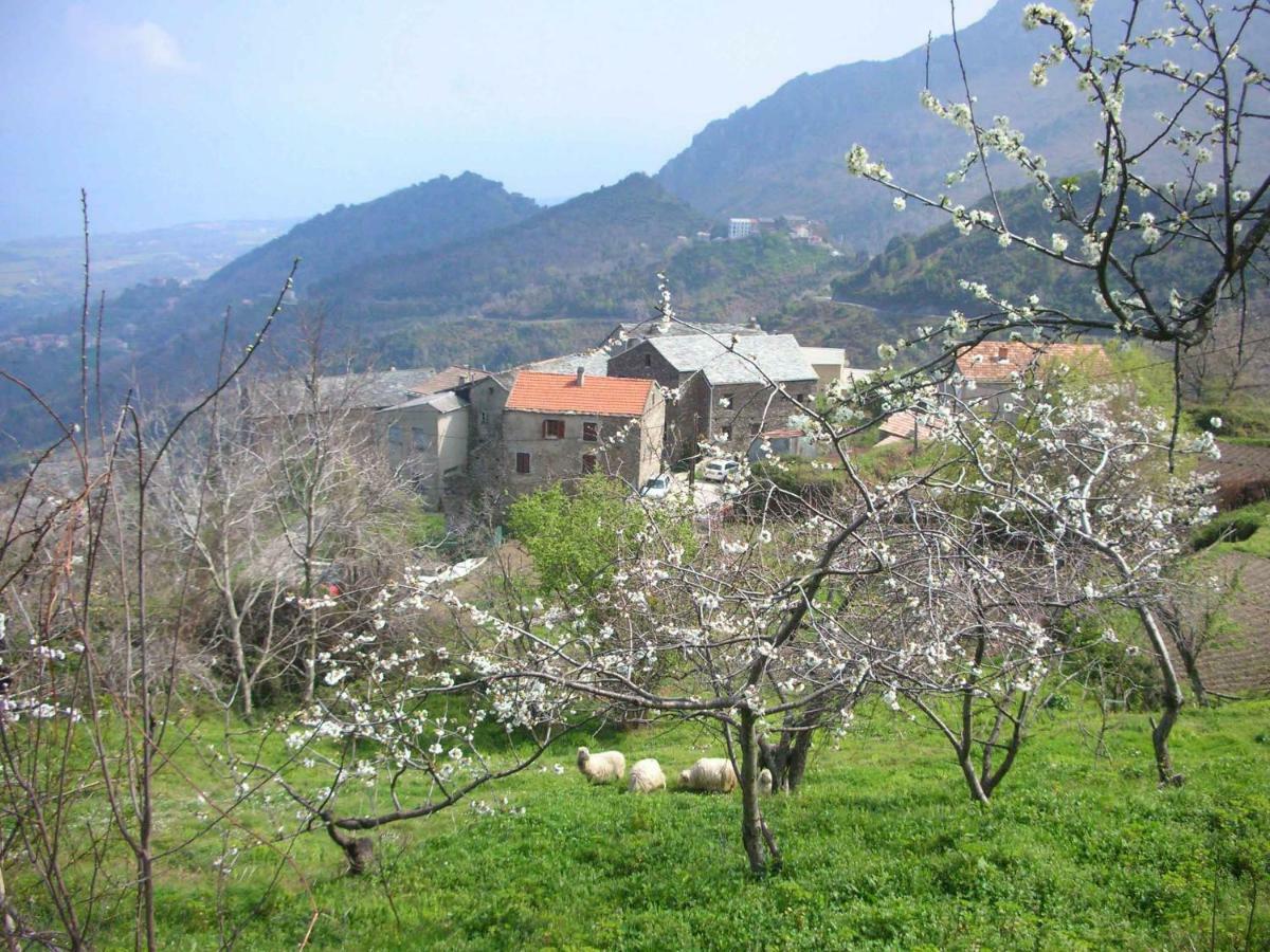 Appartamento Sole e Ventu 50qm San-Giovanni-di-Moriani Esterno foto