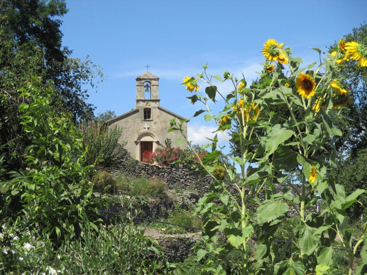 Appartamento Sole e Ventu 50qm San-Giovanni-di-Moriani Esterno foto